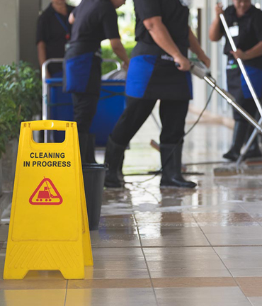 Cleaning & Maintenance